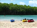 Punta Ballena - GUÁNICA